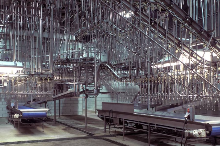 Sanderson Farms Projects Choate Construction